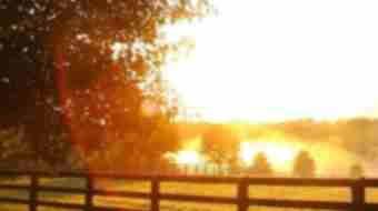 Farm Land