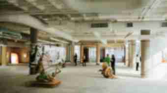 Art Galleries