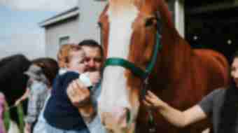 Horse Activities