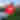 Conde Nast - 2025 - Skyline - Mobile 1x1