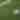 soccer ball generic