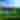 DesertWillows_13
