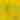 Goldenrod