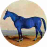 Oil painting of a large blue horse, known as Big Lex.
