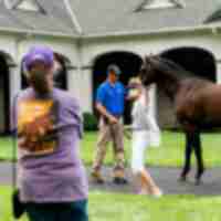 Woman posing with stallion at Spendthrift Farm