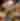 four people cheering their wine glasses over a table of food