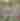 SPAC Blog Header