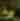 Shrek the Musical