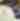 San Luis Obispo County Band Thursday Night Summer Concerts