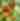 Spring Plant Sale - Los Osos Valley Garden Club
