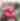 Photos with Santa at Pacific City