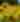 Insider's Guide: Where to find a beautiful sea of Sunflowers