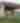 Cawker City Twine