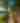Cross Timbers State Park Summer Vertical