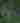 Hunter aims his shotgun while his friend sits behind him by a tree