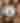 End-of-Season Closing Party at Port Chilkoot Distillery