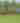 2025 Middleburg Spring Races