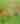 The Wild Animal Sanctuary Family-Friendly Header 2024