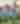 Denver Skyline