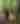 a trio of hikers walk ahead on a forested trail filtered with sunlight