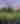 Athletics Header