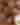 James Beard 2025 Desktop Header