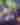 Music - Concert - 1903x679 - Header