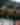 Things to Do - Summer 2025 - 1903x679