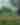 Schiller Park - Umbrella Girl - Landscape
