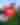 Conde Nast - 2025 - Homepage Slider