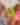 2026 Brand Campaign Kids Sunglasses
