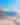 Cruise Line
