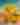 TRAVEL MARKETING COMPANIES