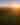 Bison on a plane during the sunrise