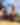 Indiana Dunes | Dog and Girl