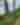 Shore Path_SK_2020_09_1