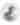 after loon logo