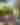 Work remote in Greater Palm Springs