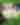 dogfriendly_FC04A.jpg