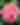 Slider - Gardens/Flowers