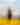 Girl in a hat looking at Soda Lake on the Carrizo Plains with wildflowers in the foreground