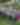 Sonoma Valley Summer Preview 2026