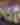 Best Practices for Planning a Corporate Event in Sonoma Valley