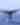 Blue Whale Tail