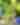 Video Thumbnail - youtube - Go Ape this Summer ☀️