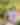 Women Walking in Robes at Canyon Ranch