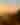 saguaro national park sunset