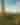 landscape of Saguaro cacti in Honey Bee Park & Canyon, Oro Valley
