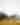 Burch barn fall