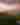 Colorful sunrise over a Willamette Valley vineyard during harvest.